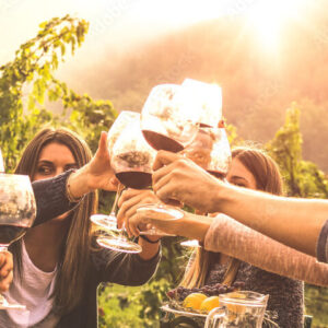 Visita bodega en la Villa de Olmedo