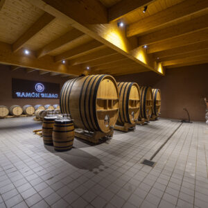 VISITA RIBERA DEL DUERO