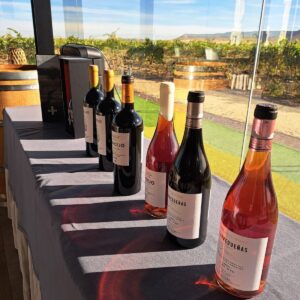 Tren del vino de Cigales 11 de abril 2026