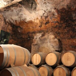 Visita bodega en Tordesillas