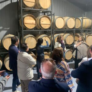 Cata de vinos en CASTILLO DEL BUEN AMOR