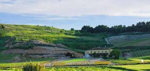 Tren del Vino Ribera del Duero, 3 octubre de 2026